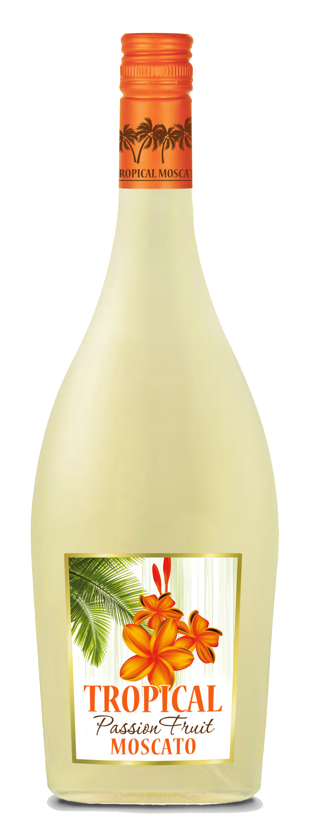 Current Bottle Image