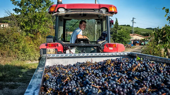 Cortonesi featured in Robb Report featured image