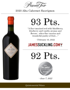 2020 Pascual Toso Alta Cabernet Sauvignon – Accolades Sell Sheet