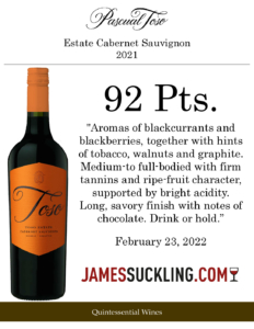 2021 Pascual Toso Estate Cabernet Sauvignon – 91 points, James Suckling – Accolade Sell Sheet