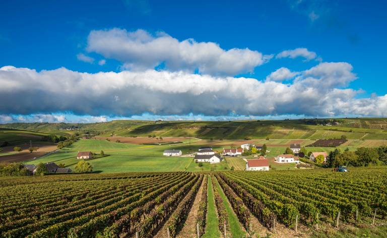 Domaine de Congy thumbnail