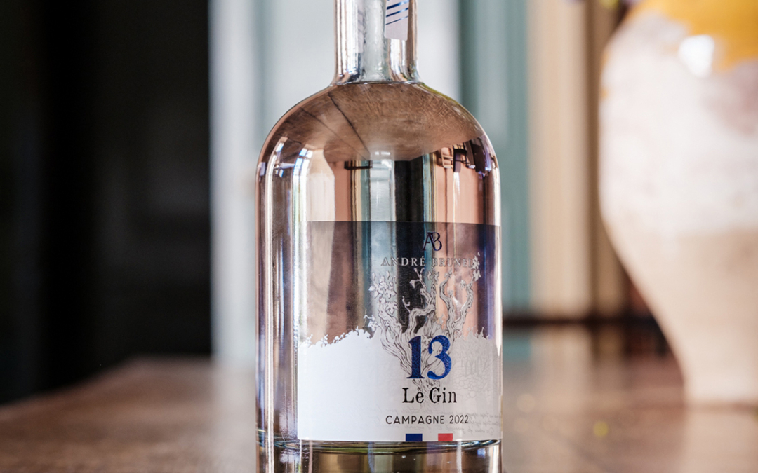Le Gin 13 featured in VinePair’s “30 Best Gins for 2025”
