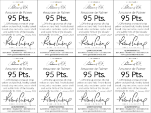 Champagne Palmer Amazone de Palmer – 95 points, Wine Advocate 2022 – Shelftalker