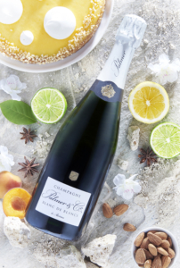 Champagne Palmer Blanc de Blancs – Beauty – Citrus Fruit