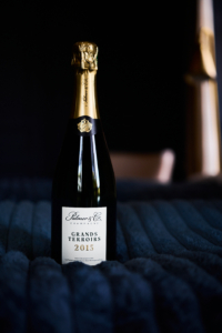 2015 Champagne Palmer Grands Terroirs – Beauty – on Blanklet