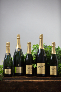 Champagne Palmer Vintage Collection – Beauty – Family Lineup #1