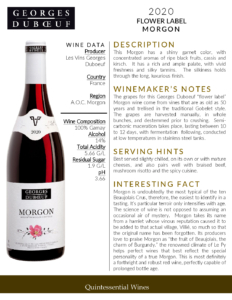 2020 Georges Duboeuf Morgon – Fact Sheet