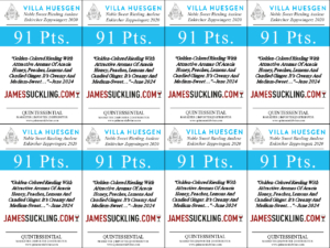 2020 Villa Huesgen Noble Sweet Riesling Auslese Enkircher Zeppwingerz – 91 points, James Suckling – Shelftalker