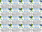 Tropical Blueberry Moscato – Generic Shelftalker – Mini