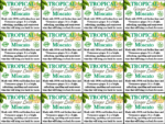 Tropical Ginger Lime Moscato – Generic Shelftalker Mini