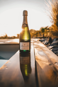 Champagne Palmer Brut Réserve – Beauty – Sunset by Pool