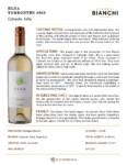 2023 Elsa Bianchi Torrontés – Fact Sheet