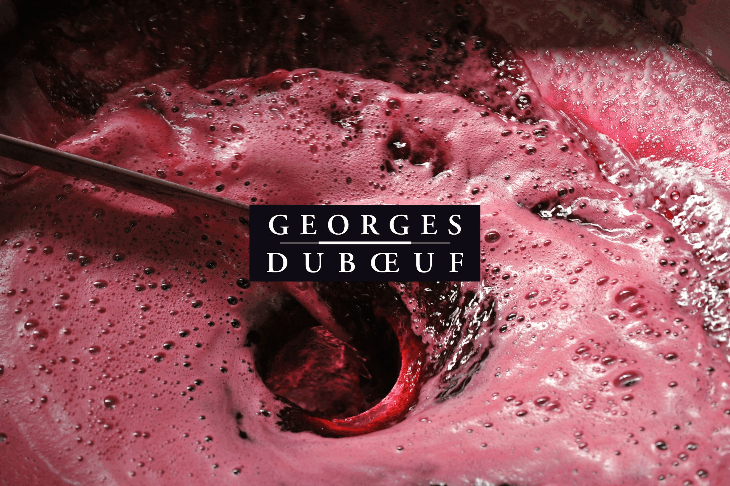 Georges Duboeuf image showing carbonic maceration process