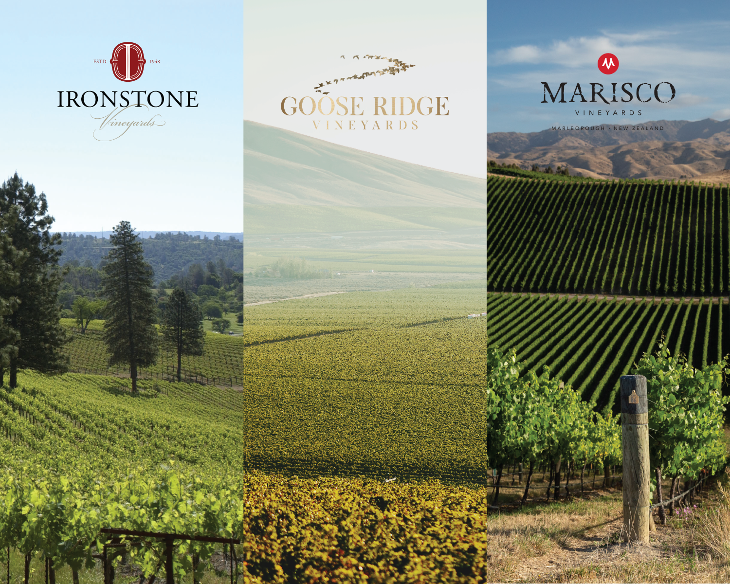 Vineyard images from Ironstone, Goose Ridge and Marisco