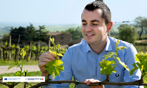 “Sangiovese Stylist” – Cortonesi in The Somm Journal featured image
