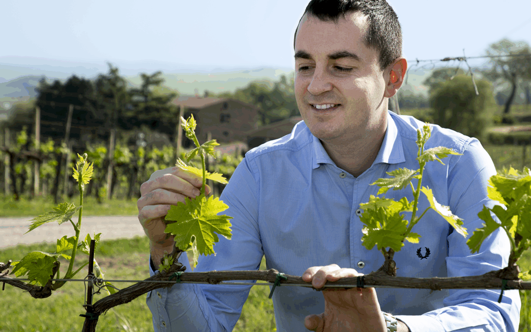 “Sangiovese Stylist” – Cortonesi in The Somm Journal