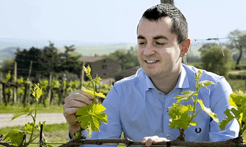 “Sangiovese Stylist” – Cortonesi in The Somm Journal featured image