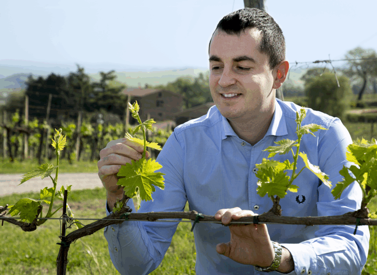 “Sangiovese Stylist” – Cortonesi in The Somm Journal featured image