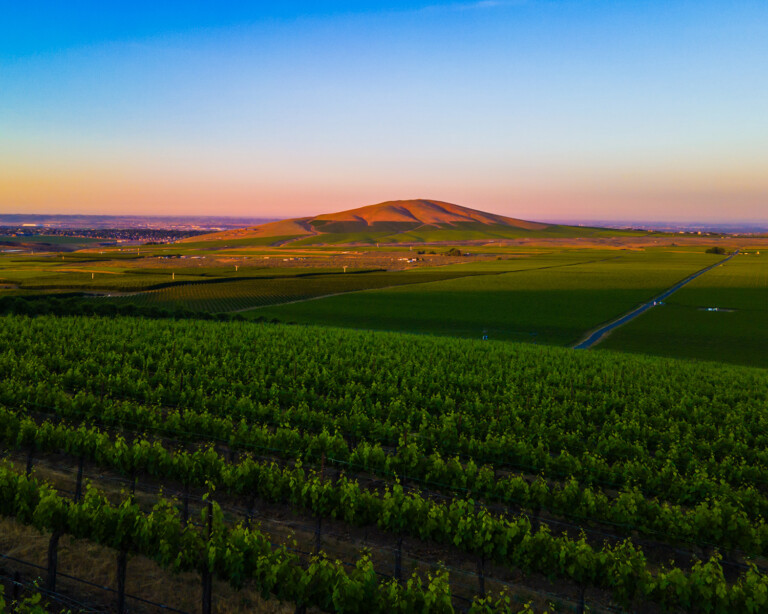 Benton-Hills_winery-page_image