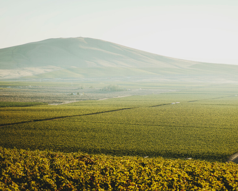 StoneCap_winery-page_image
