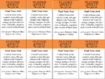 Feather & Folly Zesty Orange Gin – Shelftalker