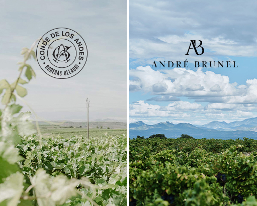 Conde de Los Andes and Andre Brunel vineyards - Robb Report feature