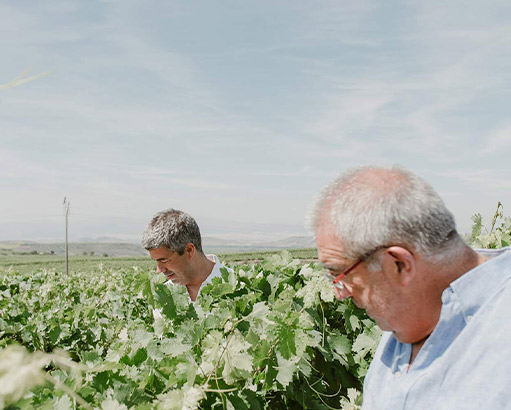 Robb Report features Conde de los Andes