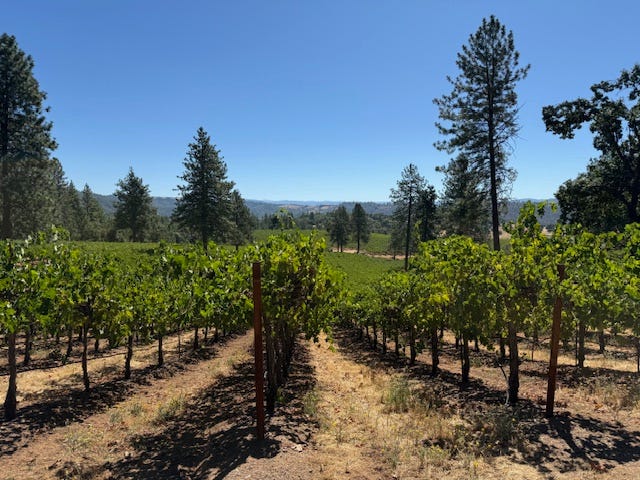 Ironstone Vineyards - Vino and Voyage Feature Image