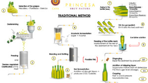 Princesa Cava Brut – Infography Sell Sheet