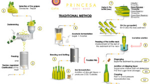 Princesa Cava Brut Rosé – Infography Sell Sheet